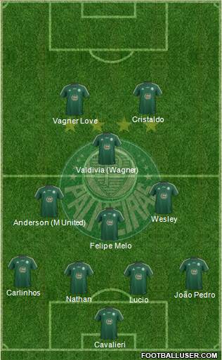 SE Palmeiras Formation 2014