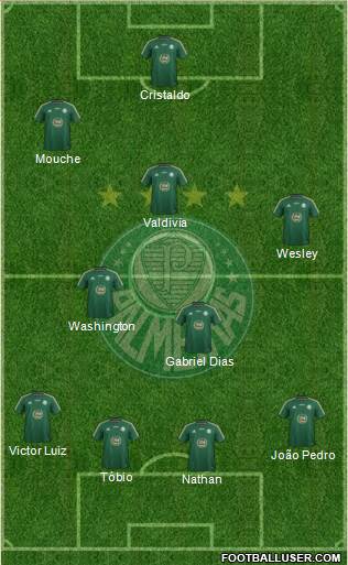 SE Palmeiras Formation 2014