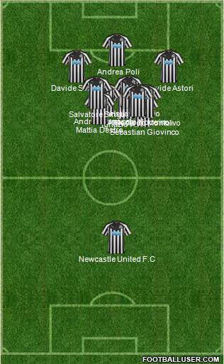 Newcastle United Formation 2014
