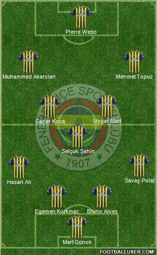 Fenerbahçe SK Formation 2014