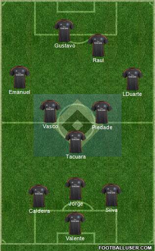 Hamburger SV Formation 2014