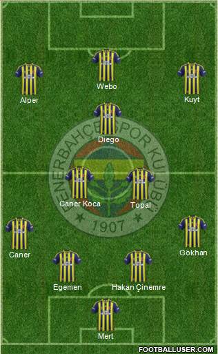 Fenerbahçe SK Formation 2014