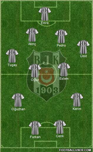 Besiktas JK Formation 2014