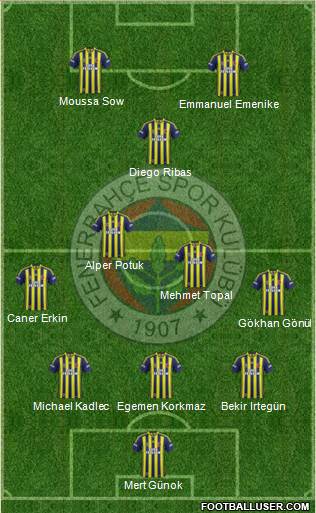 Fenerbahçe SK Formation 2014