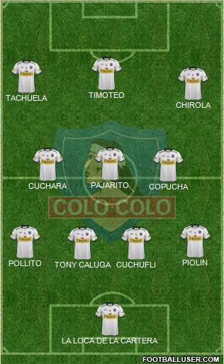 CSD Colo Colo Formation 2014