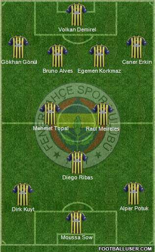 Fenerbahçe SK Formation 2014