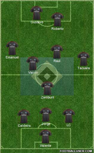 Hamburger SV Formation 2014