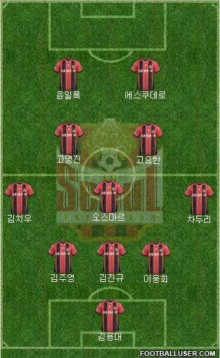 FC Seoul Formation 2014