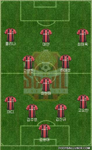 FC Seoul Formation 2014