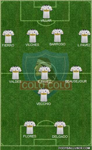 CSD Colo Colo Formation 2014
