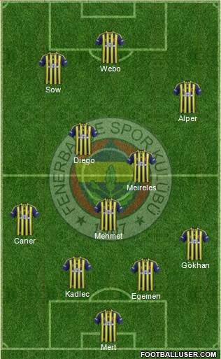 Fenerbahçe SK Formation 2014