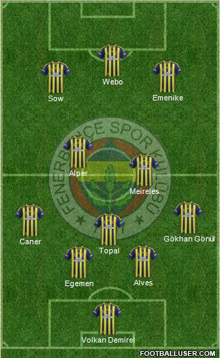 Fenerbahçe SK Formation 2014