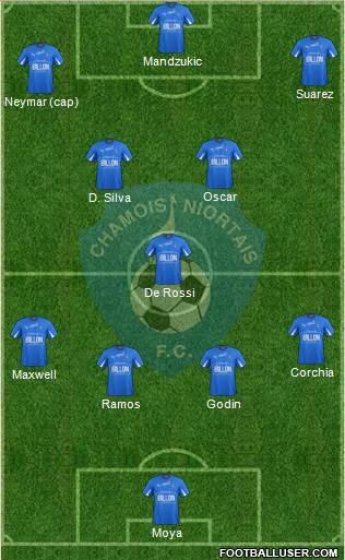 Chamois Niortais Football Club Formation 2014