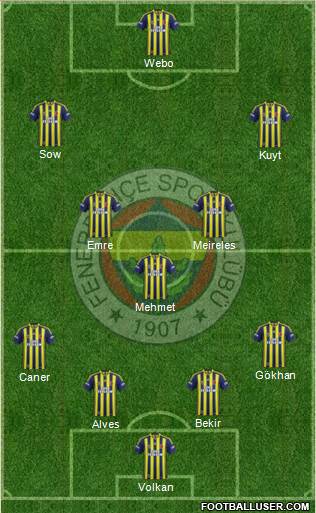 Fenerbahçe SK Formation 2014
