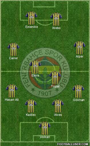 Fenerbahçe SK Formation 2014