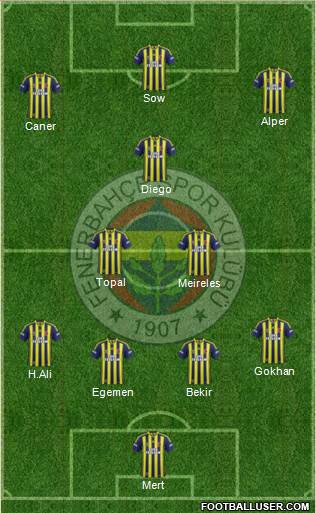 Fenerbahçe SK Formation 2014