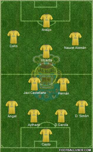 U.D. Las Palmas S.A.D. Formation 2014