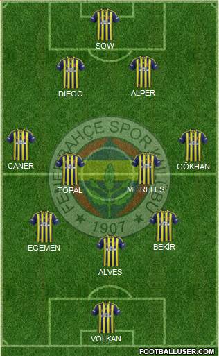 Fenerbahçe SK Formation 2014