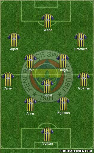 Fenerbahçe SK Formation 2014
