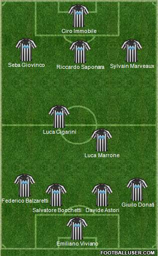 Newcastle United Formation 2014