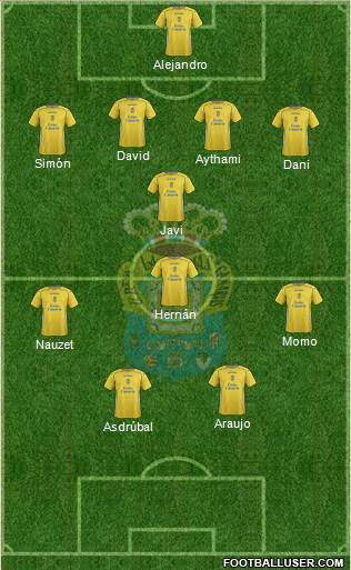 U.D. Las Palmas S.A.D. Formation 2014