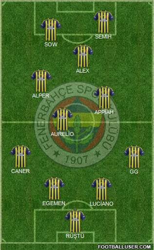Fenerbahçe SK Formation 2014