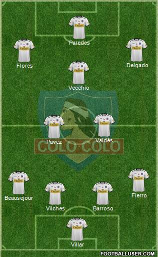 CSD Colo Colo Formation 2014