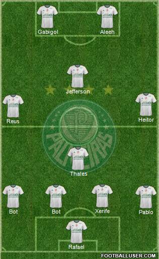 SE Palmeiras Formation 2014