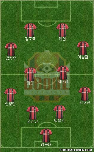 FC Seoul Formation 2014