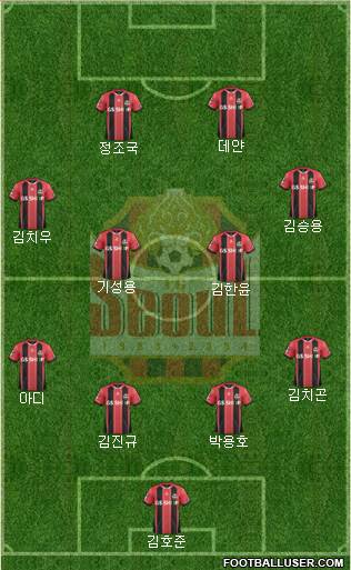 FC Seoul Formation 2014