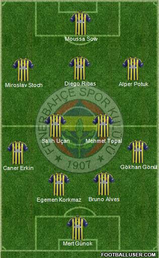 Fenerbahçe SK Formation 2014