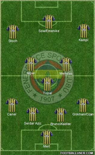 Fenerbahçe SK Formation 2014