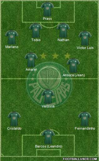 SE Palmeiras Formation 2014