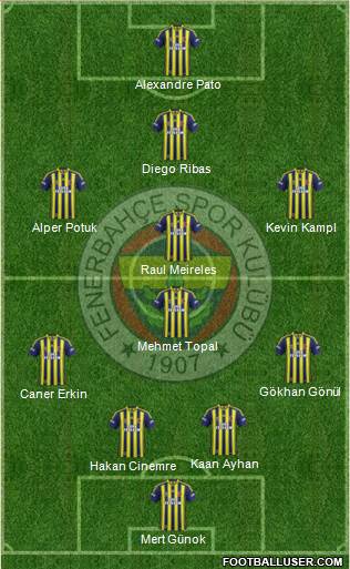 Fenerbahçe SK Formation 2014