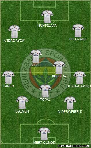 Fenerbahçe SK Formation 2014
