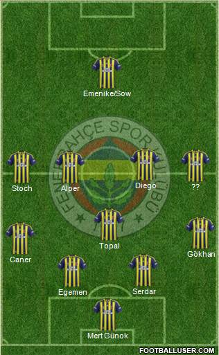 Fenerbahçe SK Formation 2014