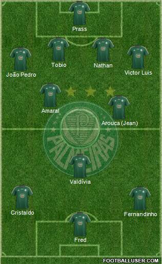 SE Palmeiras Formation 2014