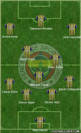 Fenerbahçe SK Formation 2014