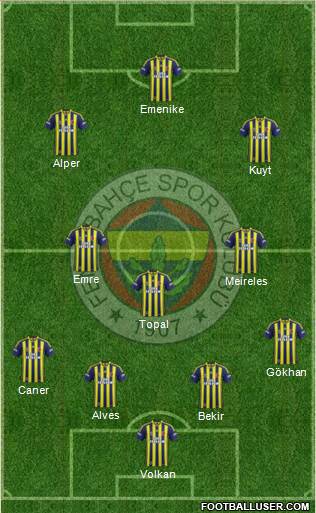 Fenerbahçe SK Formation 2014