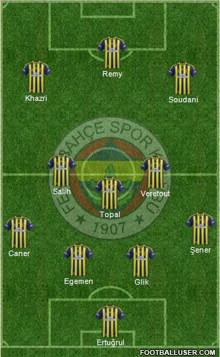 Fenerbahçe SK Formation 2014