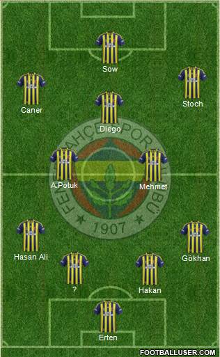 Fenerbahçe SK Formation 2014