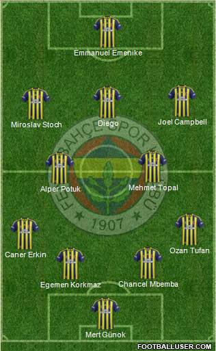 Fenerbahçe SK Formation 2014