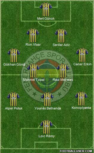 Fenerbahçe SK Formation 2014