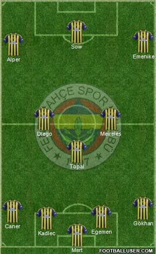 Fenerbahçe SK Formation 2014