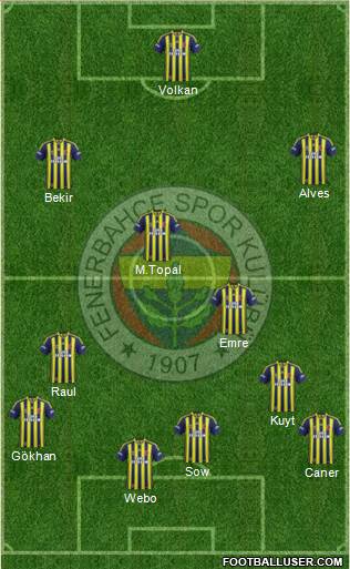 Fenerbahçe SK Formation 2014