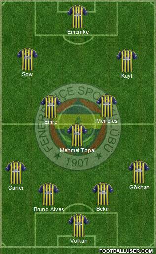 Fenerbahçe SK Formation 2014