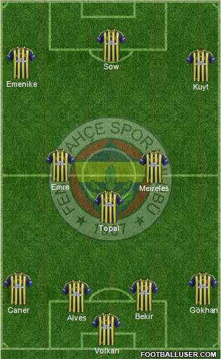 Fenerbahçe SK Formation 2014