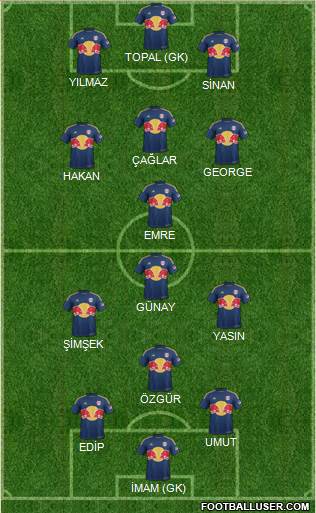 New York Red Bulls Formation 2014