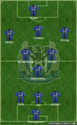 Gamba Osaka Formation 2014