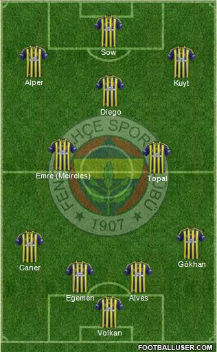 Fenerbahçe SK Formation 2014